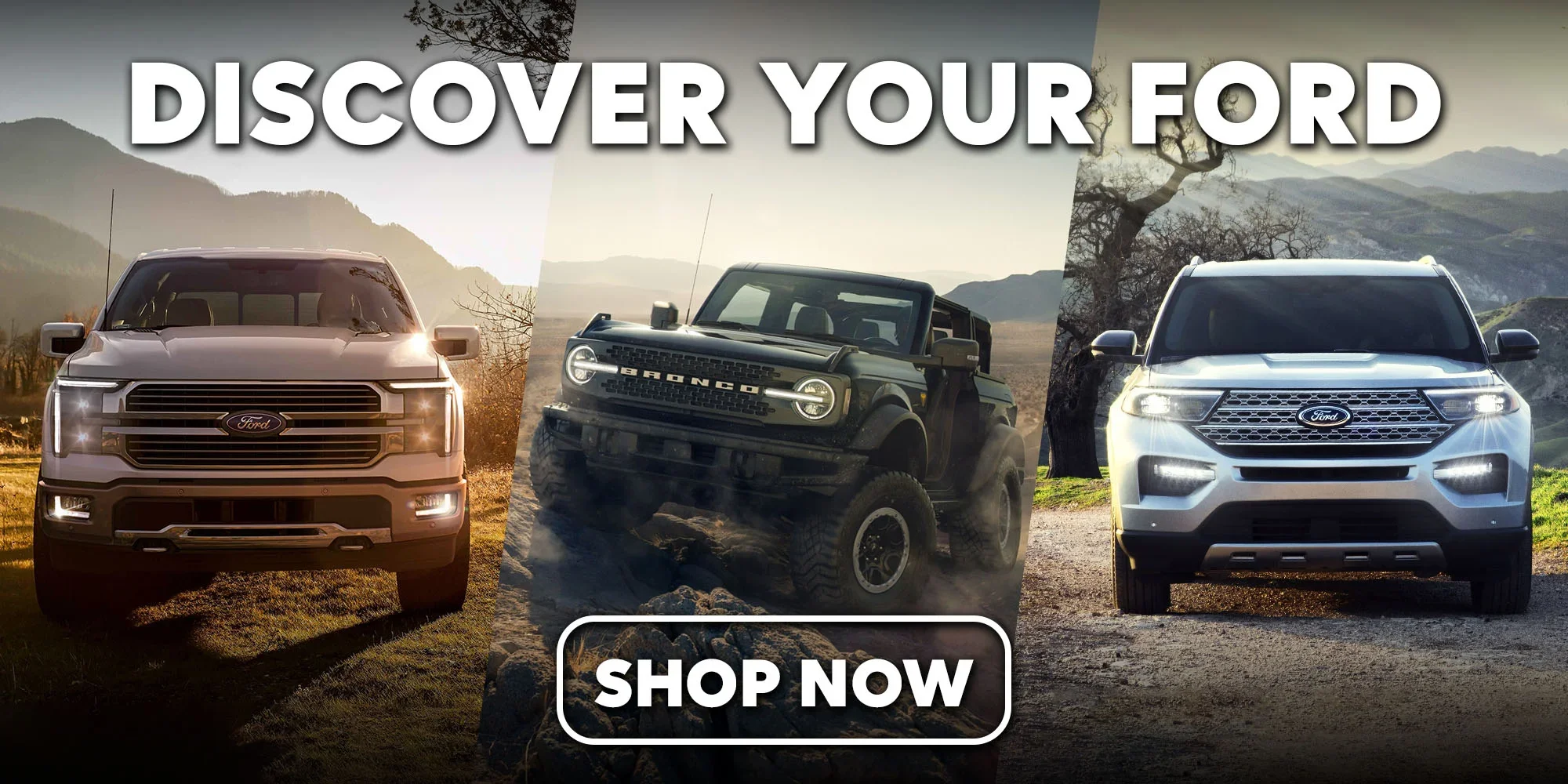 New Ford Models New Ford Models